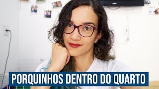 CRIANDO PORQUINHOS DA ÍNDIA DENTRO DO QUARTO [upl. by Tuchman]