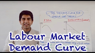 Labour Demand Curve Market and Firm [upl. by Leahkim]