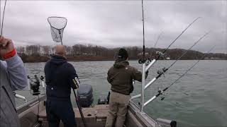 Lake Ontario Spring Brown Trout Fishing Using Chinook Divers [upl. by Notslah900]