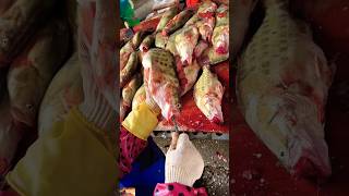 Muru Meenu Fish Processing 🐠  How to Clean and Cut Reef Cod murufish reefcod fishvideo short [upl. by Ares]