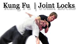 Learn Choy Li Fut Kung Fu  Joint locks [upl. by Lleryt768]