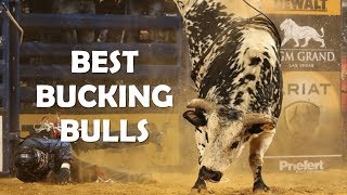 Best Bucking Bulls Ever [upl. by Anisah342]