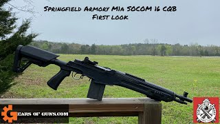 Springfield Armory M1a SOCOM 16 CQB First Look [upl. by Leal]