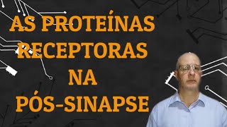 As proteínas receptoras na póssinapse [upl. by Wilkens]