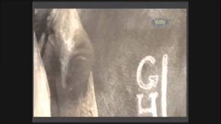 GTV NINE NETWORK Wide World Of Sports  Horse Racing opening title [upl. by Rebekkah]