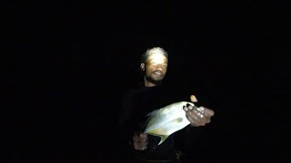 Spearfishing amp Net Fishing At Night During Low Tide🐠🇫🇯 [upl. by Nylrebma]