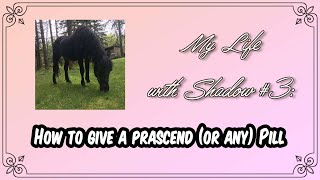 How to Give a Horse a Prascend or any Pill [upl. by Allecnirp823]