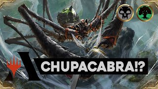 SKYFISHER SPIDER Golgari Midrange  Magic the Gathering Arena Standard Deck [upl. by Terpstra]