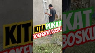 Cara jitu mengatasi tokek masuk kedalam gedung walet [upl. by Akimal]