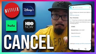 How to Cancel Subscriptions on Amazon Firestick Hulu Starz Netflix Disney Plus HBO [upl. by Carlin248]