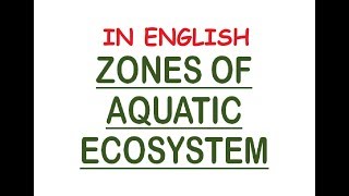 Aquatic Ecosystem Zones  PhoticAphotic Limnetic Pelagic Intertidal Neritic In Eng [upl. by Natanoy]