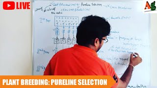 Pureline Selection Method of Plant Breeding  Pureline Theory  Concept of Pureline  Agriculture [upl. by Darrill]