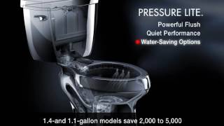 Pressure Lite Flushing System [upl. by Bernadina427]