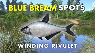 Russian Fishing 4 BLUE BREAM SPOT Winding Rivulet [upl. by Suiratnod861]