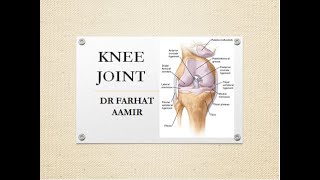 Ligament Basics  Science Explained [upl. by Rothschild]