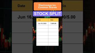 ELVA Electrovaya Inc Common Shares Stock Split History [upl. by Marji]