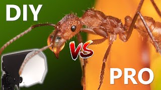 PRO Flash Diffuser VS DIY Flash Diffuser for Macro Photography [upl. by Cal178]