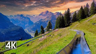 Mountain Coaster Oeschinensee 🇨🇭 an unforgettable experience with a panoramic view of the Alps [upl. by Eleon]