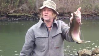 White River AR Trout World Class Fishing [upl. by Onitnatsnoc]