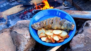 Catching amp Cooking Wild Trout Fish n’ Chips Over a Fire [upl. by Anitahs]