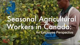 Seasonal Agricultural Workers in Canada  An Employee Perspective [upl. by Lombardi]