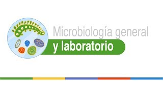 Métodos de recuento microbiano [upl. by Arta763]