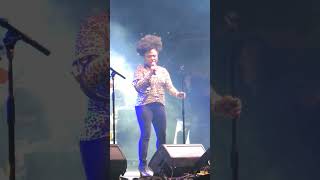 The BellRays  Pinball City LIVE Clip  New Mexico Oct 23 2024 [upl. by Adym]