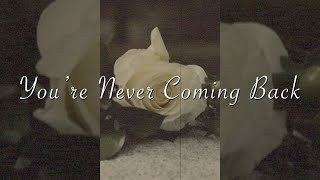 youre never coming back feat Cayson Renshaw  Vertical Lyric VideoVisualizer [upl. by Ellsworth]