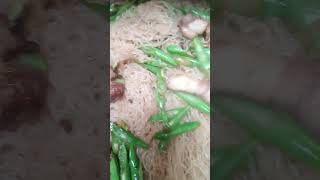 pancit bihon yummy deliciousfood [upl. by Karry]