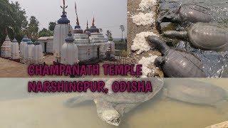 CHAMPANATH TEMPLE  NARSHINGPUR CUTTACK ODISHA  VISITING PLACE IN ODISHA [upl. by Anera]