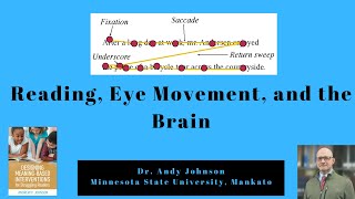 READING EYE MOVEMENT AND THE BRAIN [upl. by Oswal504]