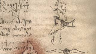 Leonardo da Vincis Codex on the Flight of Birds [upl. by Reg]