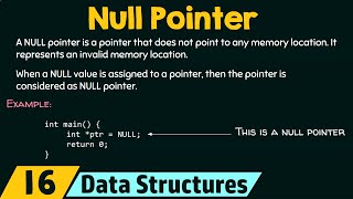 Understanding the Null Pointers [upl. by Malony]