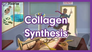 Collagen Synthesis USMLE Mnemonic Preview [upl. by Dry]