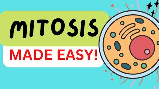 MITOSIS CELL DIVISION IN 3 MINUTES  STAGES PROPHASE PROMETAPHASE METAPHASE ANAPHASE TELOPHASE [upl. by Akkahs]