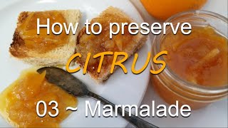 PRESERVING citrus  MARMALADE  03 [upl. by Notlad]