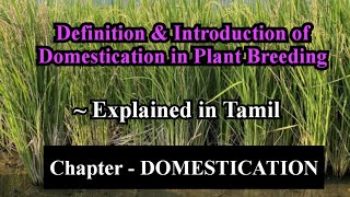 Definition amp Introduction of Domestication in Plant breeding Domestication in tamil MrAgriTamil [upl. by Laamaj]