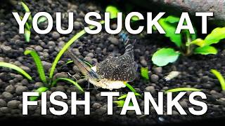 How to make the BEST Fish Tank  YSAFT [upl. by Machos]