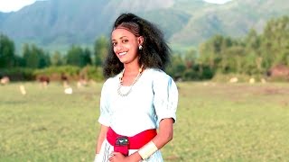 Ethiopian  Umer Ali  Zemuye  ዘሙዬ  New Ethiopian Music 2016Official Video [upl. by Ninnetta]