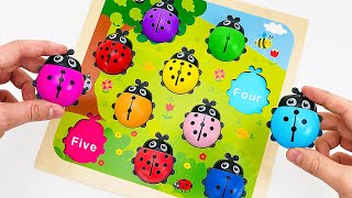 Learn Colors ABC amp Numbers  Miraculous Ladybugs  More Kid Toys  Preschool Toddler Learning Video [upl. by Vachil309]