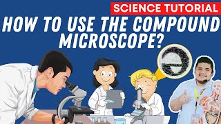 USING THE COMPOUND MICROSCOPE SCIENCE 7 QUARTER 2 MODULE 1B [upl. by Enirolf]