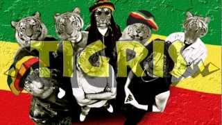 TIGRIS  Divatos 2012 Copy Con punk rock reggae [upl. by Cleo]