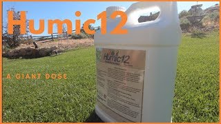 Humic 12 Humic Acid For Lawns Application Extremely High Rate [upl. by Accebber]