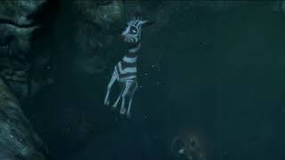 Khumba Underwater Scenes [upl. by Heywood]