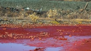 We now know what turned that Russian river red [upl. by Cade850]