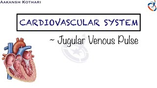 Jugular Venous Pulse Right Atrial Pressure Curve  Cardiovascular System Physiology by Aakansh K [upl. by Autrey539]