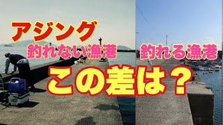 アジが釣れる漁港と釣れない漁港の違いはココ！！ [upl. by Fraser926]