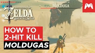 EASY MOLDUGA KILL How to 2hit kill the Molduga  Zelda Breath of the Wild Nintendo Switch [upl. by Trini]