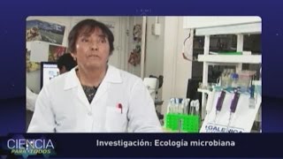 Ecología microbiana [upl. by Jezabelle]