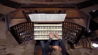 Guy Weitz  the complete organ works on AEOLUS [upl. by Dnesnwot976]